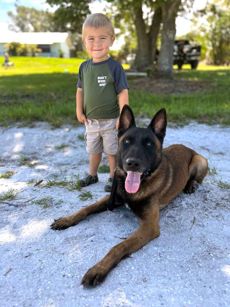 A Belgian Malinois dog sitting beside a toddler